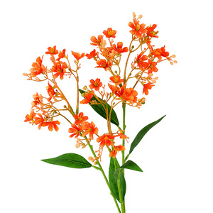 Bouquet de Daphné Artificiel Jaune Réaliste en Plastique pour Décorations de Mariage - Collection Flower Delight - Product Image 5