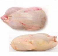Sacs rétractables de poulet de volaille en plastique imprimés EVA personnalisés pour poulet