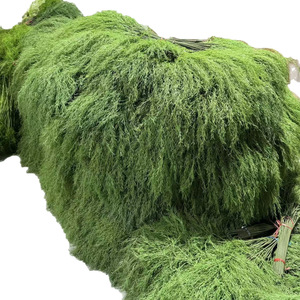 <span class=keywords><strong>Venta</strong></span> al por mayor de plantas artificiales de aspargos y helechos, estilo bosque, de plástico, para arreglos florales de boda al aire libre. - Product Image 5