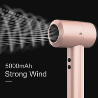 Sèche-cheveux sans fil Binwang 300W/12.5V avec contrôle intelligent de la température, outil multifonctionnel, sèche-cheveux sans fil pour l'extérieur