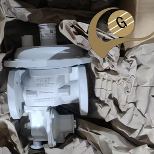 Regulador de Presión de <span class=keywords><strong>Gas</strong></span> Elster MR25 <span class=keywords><strong>SF6</strong></span> MR50 <span class=keywords><strong>SF6</strong></span> 100% Nuevo y Original, Piezas para Calderas - Product Image 5