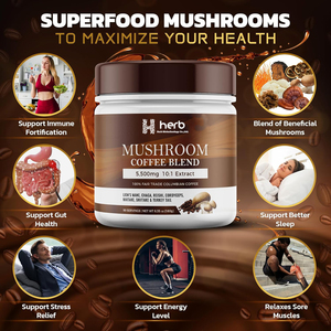 Poudre de café aux champignons OEM/ODM – Complément personnalisé de champignons Reishi, Shiitake et Morille – Extrait de champignons en poudre pour café - Product Image 4