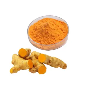 最佳质量姜黄提取物粉末5%-95% 高效液相色谱姜黄素