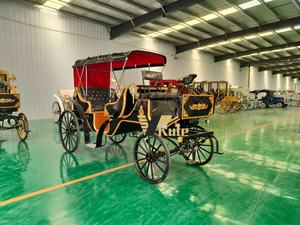 Chariot à chevaux familial, spacieux et durable, parfait pour les sorties, les pique-niques et les aventures en famille en plein air - Product Image 5