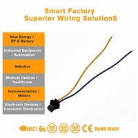 كابل مسطح مخصص بمقاسات 1.0 مم و1.25 مم و2.0 مم و2.54 مم من نوع JST Molex PTFE نايلون لتوصيلات الكمبيوتر والإلكترونيات للوحات الدوائر المطبوعة