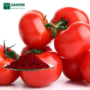 JIAHERB-extracto de tomate, 5%, 10% de licoteno