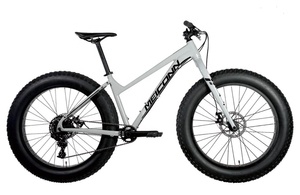Vélo à pneus larges 4.0 / Chopper Beach Cruiser / SY-FT2615 – Nouveauté 2019 en promotion - Product Image 2