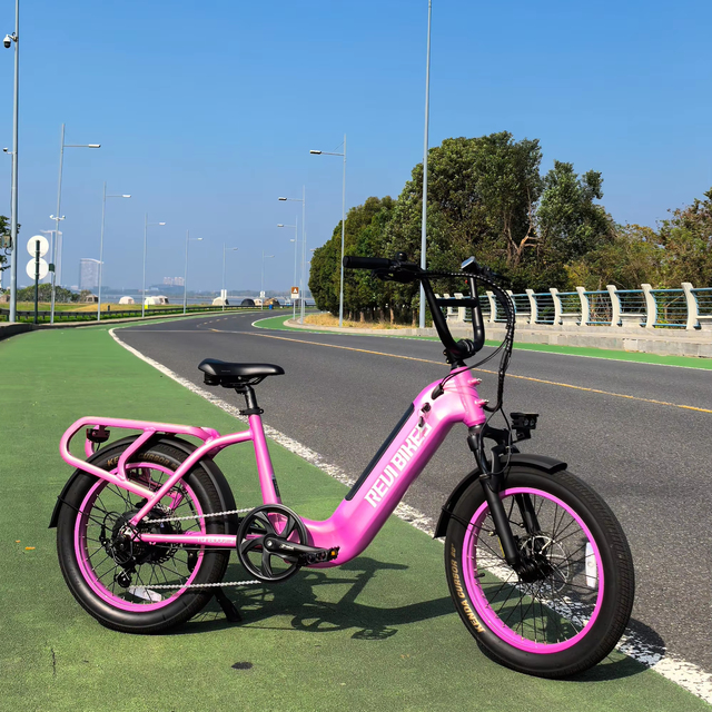2024 OEM 20inch Step-thru Utility Electric Cargo Bike With Fast Ebike System Unfoldable Hidden Lithium Battery Basket