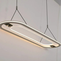 Tuya ZigBee feux sur rail avec Projection 2-wire CCT belt LED track light.100-watt et 20-watt DALI têtes de lumière sur rail
