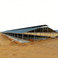 Nave Avícola Moderna con Estructura de Acero de Gran Envergadura, Certificada por la CE, Construcción Prefabricada de Techo Transparente