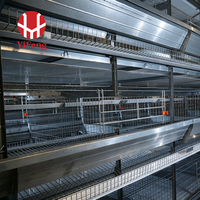 Équipement clé en main pour élevages avicoles à grande échelle : Système d'alimentation et d'abreuvement automatique multicouche pour l'élevage de 5 000 à 50 000 poules pondeuses