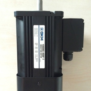 มอเตอร์ไฟฟ้า Dkm 10Idd6 400W แบบยึดหน้าแปลน มอเตอร์พิเศษสำหรับใช้งานในอุตสาหกรรม - Product Image 2