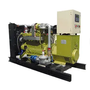 Groupe électrogène professionnel triphasé de production de centrale électrique d'équipement de gaz de Gerador de 120kw LPG