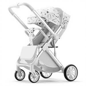 Cochecito de Bebé Portátil Gris, Estilo Francés de Lujo, 3 en 1, Plegable, con Asiento de Auto, Carrito Metálico - Product Image 1