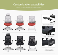 Chaise de bureau ergonomique en maille colorée avec design en arête de poisson Silla De Oficina Cadeira De Escritorio Chaise ergonomique Scaun De Birou