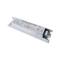 Ballasts électroniques pour lampes fluorescentes UV T5 14W 15W 16W 17W 20 Watts 28 Watts 110V 220V PH12-425-18 UV-C