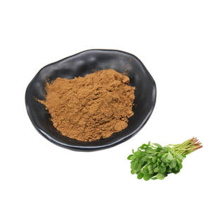 Заводская поставка, экстракт Bacopa Monnieri, пищевой натуральный порошковый экстракт портулака - Product Image 1