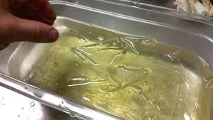 Spons <span class=keywords><strong>Gelatin</strong></span> aemostatik yang dapat diserap-zat tambahan makanan-permen, Makanan dan minuman, perawatan kesehatan - Product Image 5