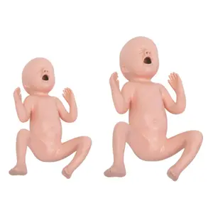 Medical Education Manikin High Quality Thirty Weeks Premature Infant Model for School Study