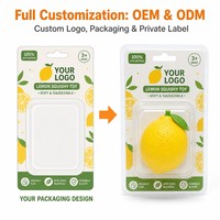 Jouet anti-stress personnalisé en forme de citron, balle à presser en TPR, OEM ODM, jouet sensoriel pour soulager le stress