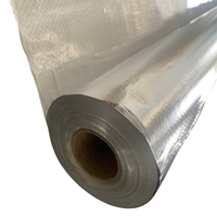 Film d'isolation thermique en aluminium, barrière vapeur moderne pour murs et toitures
