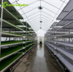 Plateaux de chariche en plastique hydrophobe, <span class=keywords><strong>pour</strong></span> le betail, vert - Product Image 4