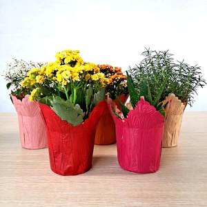 Couvre-<span class=keywords><strong>pot</strong></span> en papier imperméable pour plantes en <span class=keywords><strong>pot</strong></span>, fleurs en <span class=keywords><strong>pot</strong></span>, <span class=keywords><strong>couleur</strong></span> personnalisable - Product Image 3