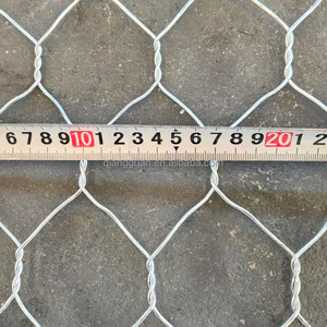 <span class=keywords><strong>2025</strong></span> altıgen <span class=keywords><strong>Gabion</strong></span> kutusu/<span class=keywords><strong>gabion</strong></span> kutusu makinesi 1x1x1 <span class=keywords><strong>Gabion</strong></span> kutusu/yüksek kaliteli <span class=keywords><strong>Gabion</strong></span> kutusu 2x1x1m - Product Image 3