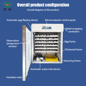 공장 도매 HZ-1056 자동 부화기 닭 오리 거위 메추라기 태양광 부화 시스템 (농업용) - Product Image 4