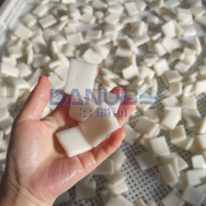 Nuevo Equipo Deshumidificador para Secado de Pastel de Arroz, Horno de Secado con Bomba de Calor - Product Image 1