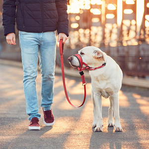 Gentle Leader <span class=keywords><strong>Dog</strong></span> Head <span class=keywords><strong>Collar</strong></span> No Pull Soft Padded Nylon Head Halter con patrón de rayas Stops Heavy <span class=keywords><strong>Pulling</strong></span> - Product Image 2