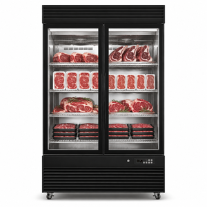 Armoire <span class=keywords><strong>de</strong></span> maturation à porte vitrée, refroidissement par air, sans givre, pour attendrir la viande (bœuf et volaille) - Product Image 1