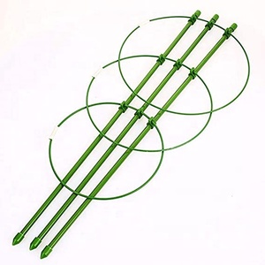 <span class=keywords><strong>Support</strong></span> de plante de jardin enduit Pe <span class=keywords><strong>support</strong></span> de fleur de piquet de jardin <span class=keywords><strong>pour</strong></span> <span class=keywords><strong>plantes</strong></span> grimpantes - Product Image 2