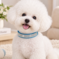 Collier pour chien en PU simple et confortable avec boucle de fermeture, bijoux étincelants