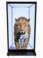 Affichage commercial transparent 3D spatial de 86 pouces et 32 pouces