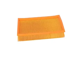 Polyester and Carbon Material Automobile Engine Air Filter 377129620E 377129620 0986B02308