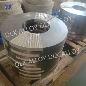 Премиум 99% чистота никелевая полоса никелевая 200/никелевая 201 для высокой проводимости коррозионной стойкости в химическом оборудовании - Product Image 5