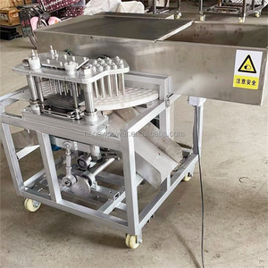 Machine à dénoyauter les dattes, les olives, les abricots secs et les pruneaux, capacité de 500 kg par heure, dispositif de retrait <span class=keywords><strong>des</strong></span> noyaux, en vente chaude - Product Image 6