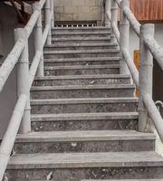 Marches et rehausseurs d'escalier en marbre de couleur personnalisée populaire, Offre Spéciale escaliers de couleur personnalisée, prix des escaliers en marbre et granit
