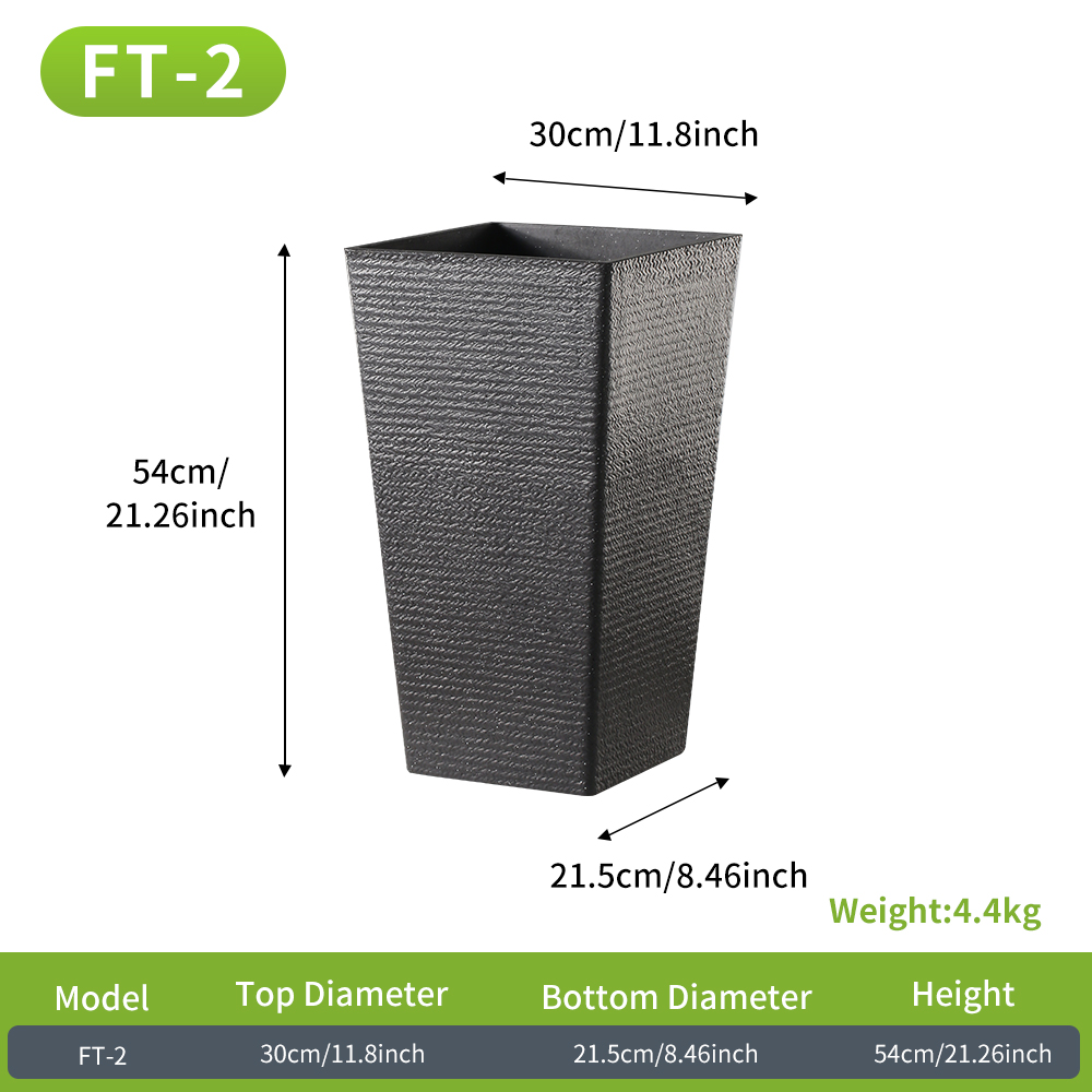 FT-2 Negro
