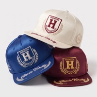 Maßgefertigte Satin 6-Panel Flat Snapback Caps mit 3D-Stickerei, Buchstaben-Emblem, Lorbeerblatt-Logo, Hip-Hop Unisex Hüte, Klein