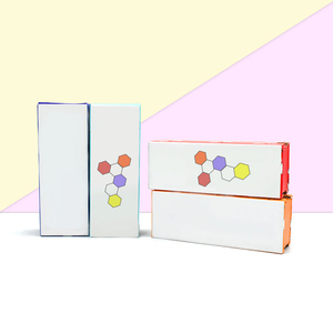 Caja de Regalo Deslizable Personalizada con Estampado en Relieve, Impresión CMYK, Forro de Esponja, Embalaje Rígido para Cámara, Electrónica, Reciclable - Product Image 6