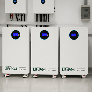 Batterie au lithium 51,2 V 16 kWh 314 Ah, plus de 8000 cycles à 80 % DOD pour la sauvegarde d'énergie domestique en Asie du Sud-Est - Product Image 2