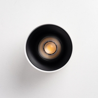 Projecteur cylindrique d'intérieur unique 12W 20W 30W IP44 Downlight à LED monté en surface pour plafond