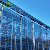 Serre en verre Venlo, système hydroponique, serre à fraises, invernadero avec système d'irrigation