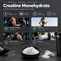 Créatine Monohydrate en Poudre en Gros Sans Arôme Additif Alimentaire 200 Mesh Matière Première Pure Créatine Monohydrate Micronisée en Poudre