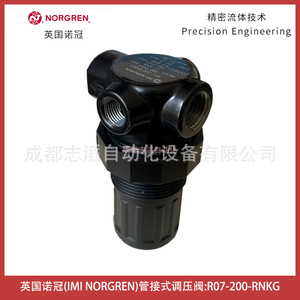 วาล์วลดแรงดันนอร์เกรน R07-200-RNKG 1/4 นิ้ว สำหรับแก๊สและลม ใช้งานทั่วไป - Product Image 4