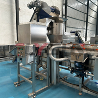 Energiebesparende continue mesh-band friteuse complete productielijn voor de verwerking van diepvriesgebakken voedsel