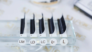 <span class=keywords><strong>Bouquet</strong></span> d'extension De crayon, vente en gros - Product Image 3