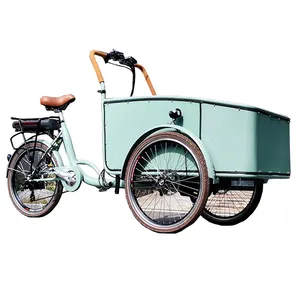 Hà Lan Phổ Biến Cargo Bike 3 Bánh Xe Điện Ba Bánh Bakfiets Với Vận Chuyển